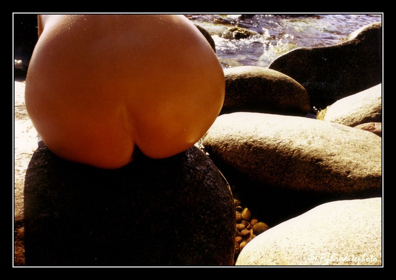 11 Fruit de mer 1